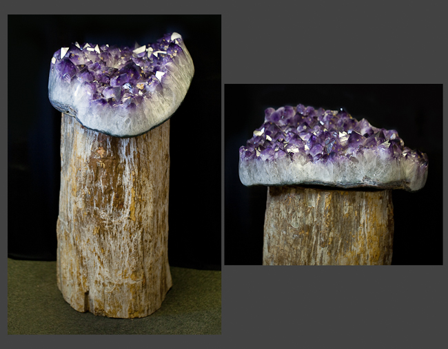 High grade amethyst from Uruguay on petrified wood pedestal from Indonesia. 